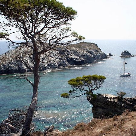 T2 Vue Mer 50M De La Plage A Giens Єр Екстер'єр фото