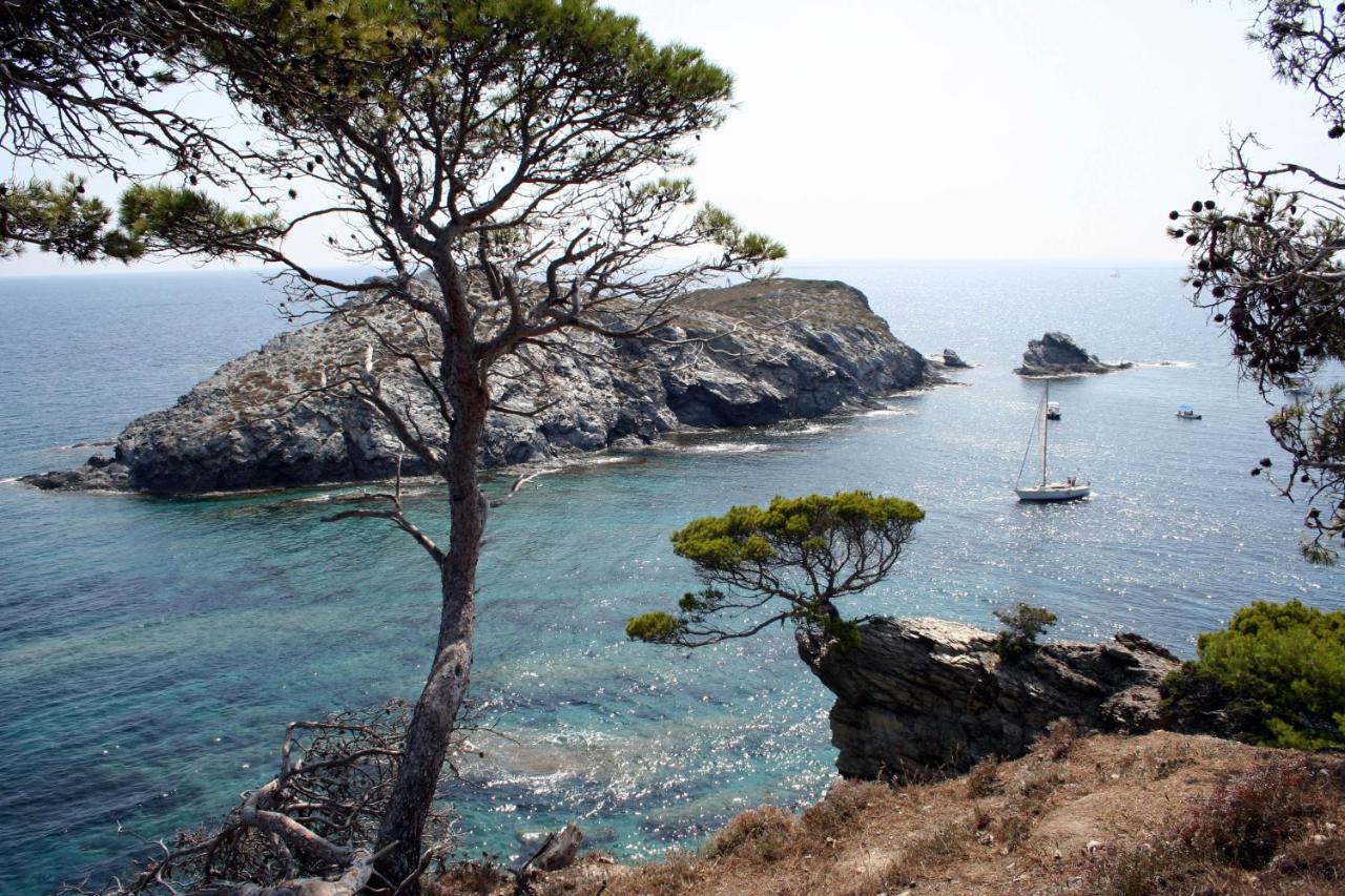 T2 Vue Mer 50M De La Plage A Giens Єр Екстер'єр фото